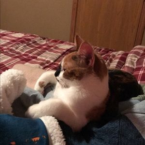 Meet your Posher, Katelyn